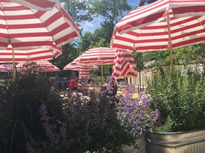 Gorgeous eating area at the Bocce grounds.