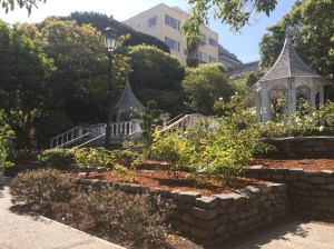 Found this cute garden on my exploration