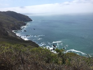Coastal trail along the Coastline